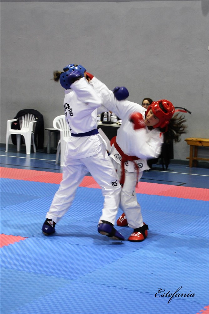Copa Seul 2018 (502).jpg